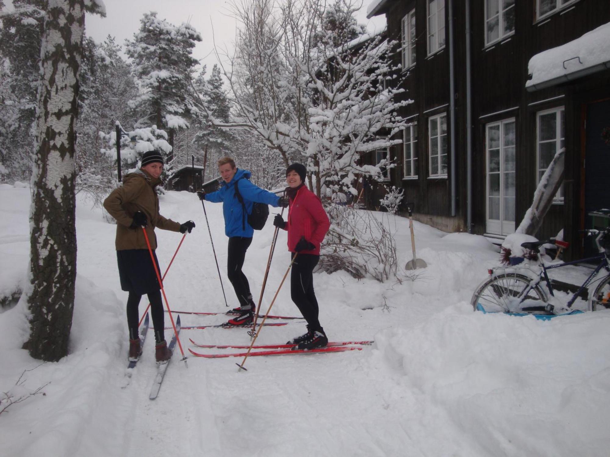 B&B Eco-Village 12 Min From City Ville de Ville de Stockholm Extérieur photo